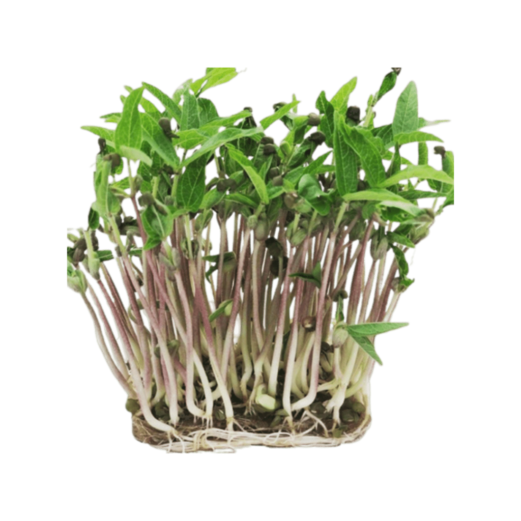 FASOLE MUNG 4x25g (100g total)